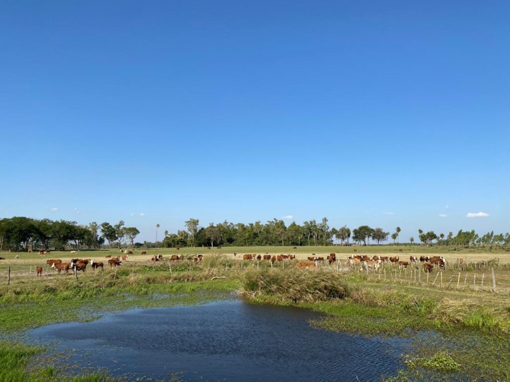 124 ha Estancia estructurada en Tobatí