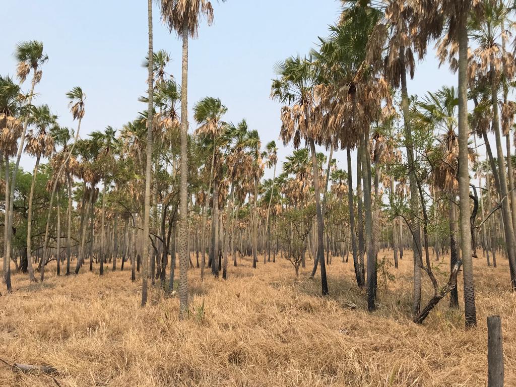 6555 ha Estancia en Toro Pampa