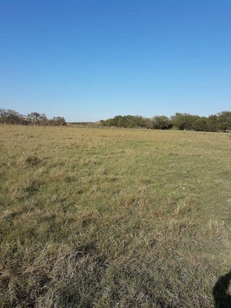 6555 ha Estancia en Toro Pampa