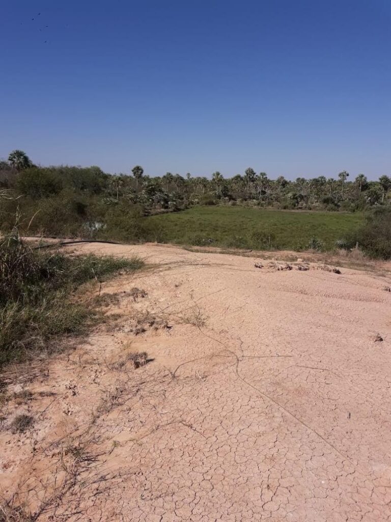 6555 ha Estancia en Toro Pampa