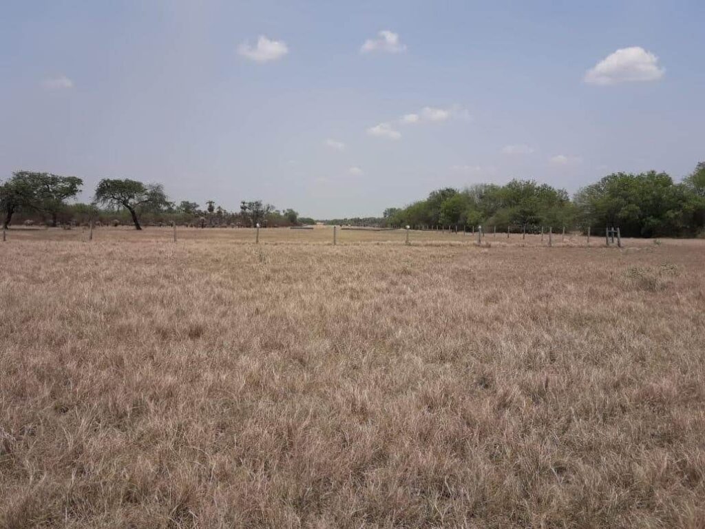 6555 ha Estancia en Toro Pampa