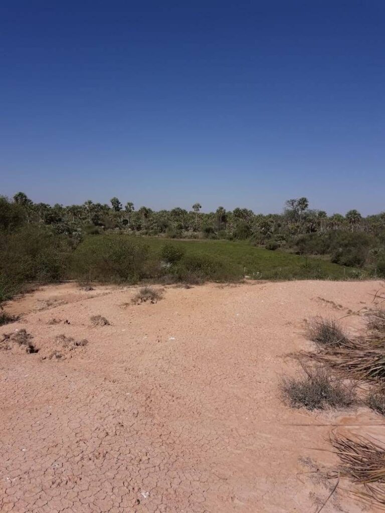6555 ha Estancia en Toro Pampa