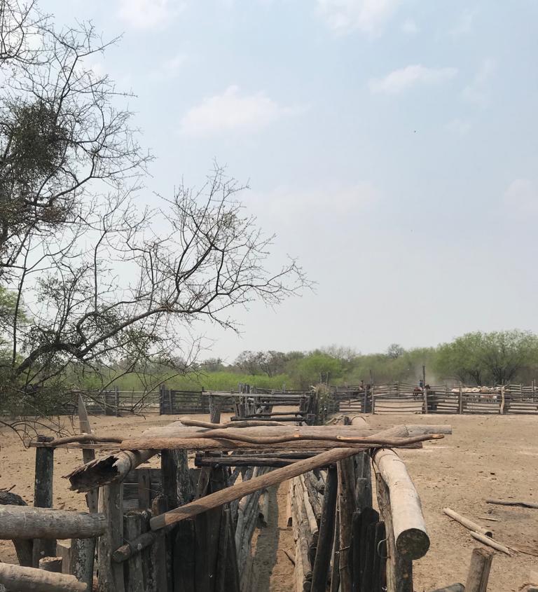 6555 ha Estancia en Toro Pampa