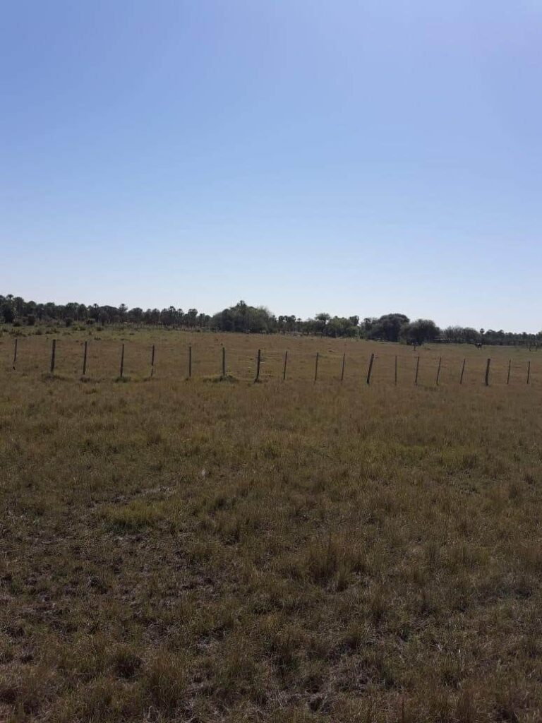 6555 ha Estancia en Toro Pampa