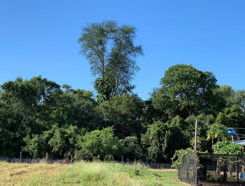 Estancia de 18.485 ha en Agua dulce, Bahía Negra, Alto Paraguay