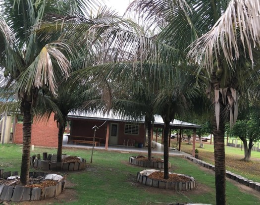 Estancia de 18.485 ha en Agua dulce, Bahía Negra, Alto Paraguay