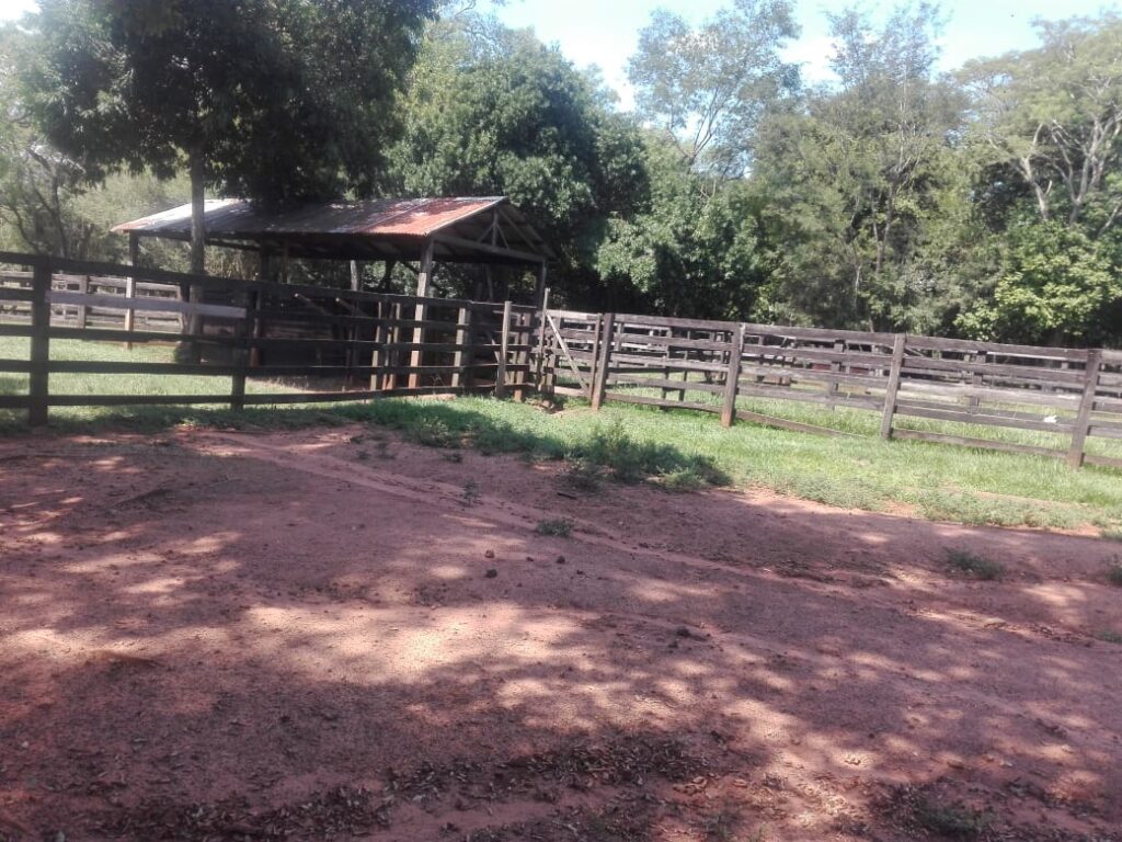 229 ha en Coronel Bogado
