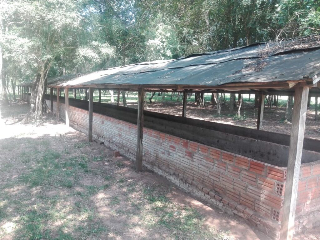 229 ha en Coronel Bogado