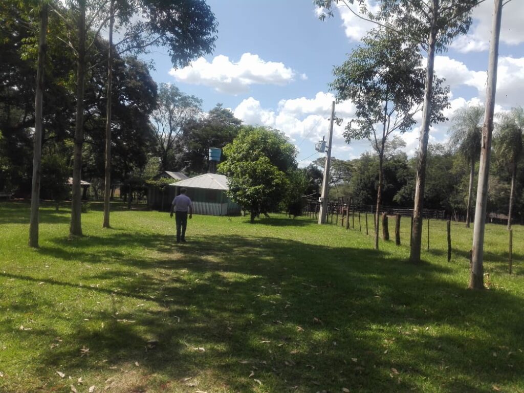 229 ha en Coronel Bogado