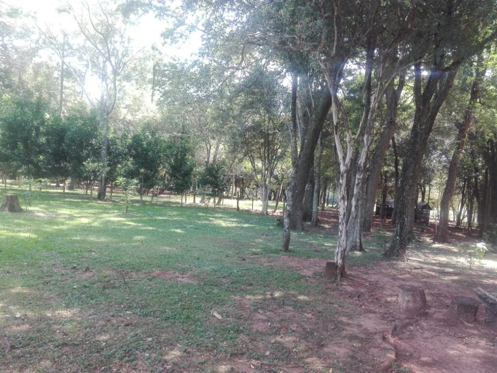 229 ha en Coronel Bogado