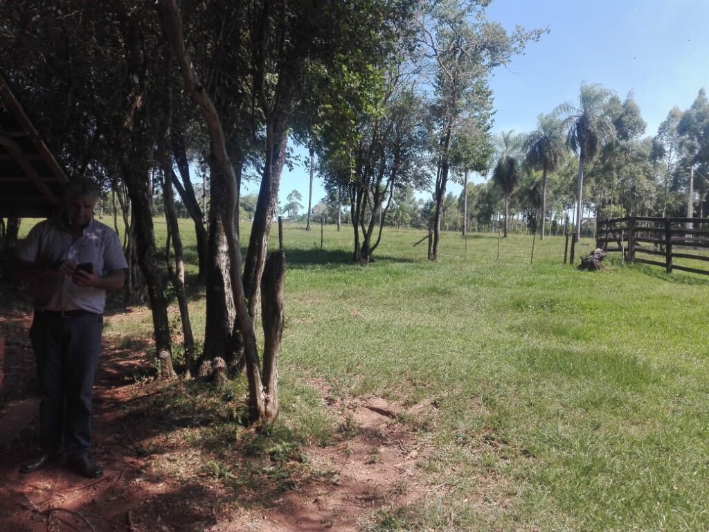 229 ha en Coronel Bogado