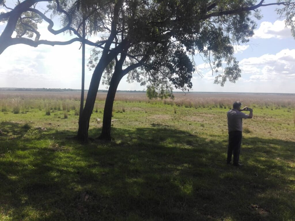 229 ha en Coronel Bogado