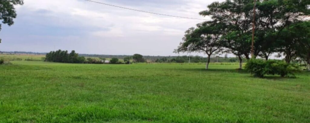 3422 ha Estancia en Concepción