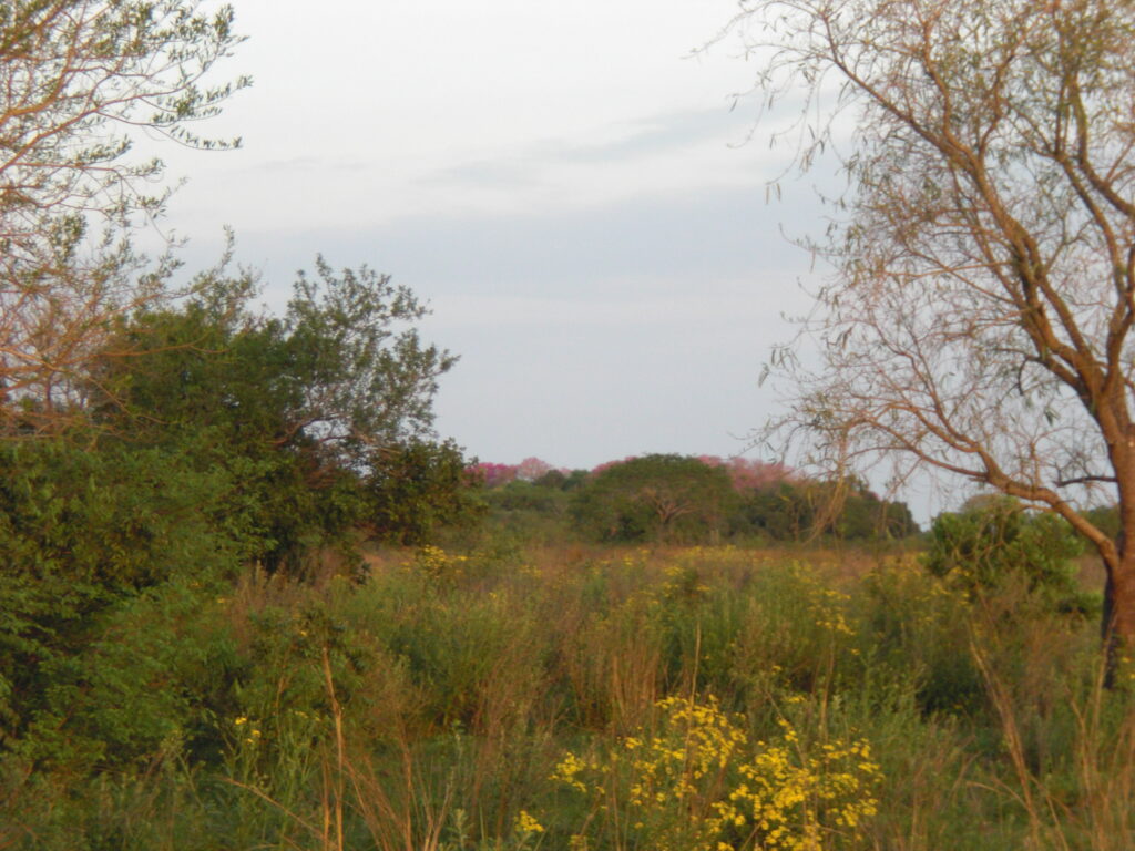 424 ha Puerto de aguas profundas en Curupayty, Humaitá, Ñeembucú