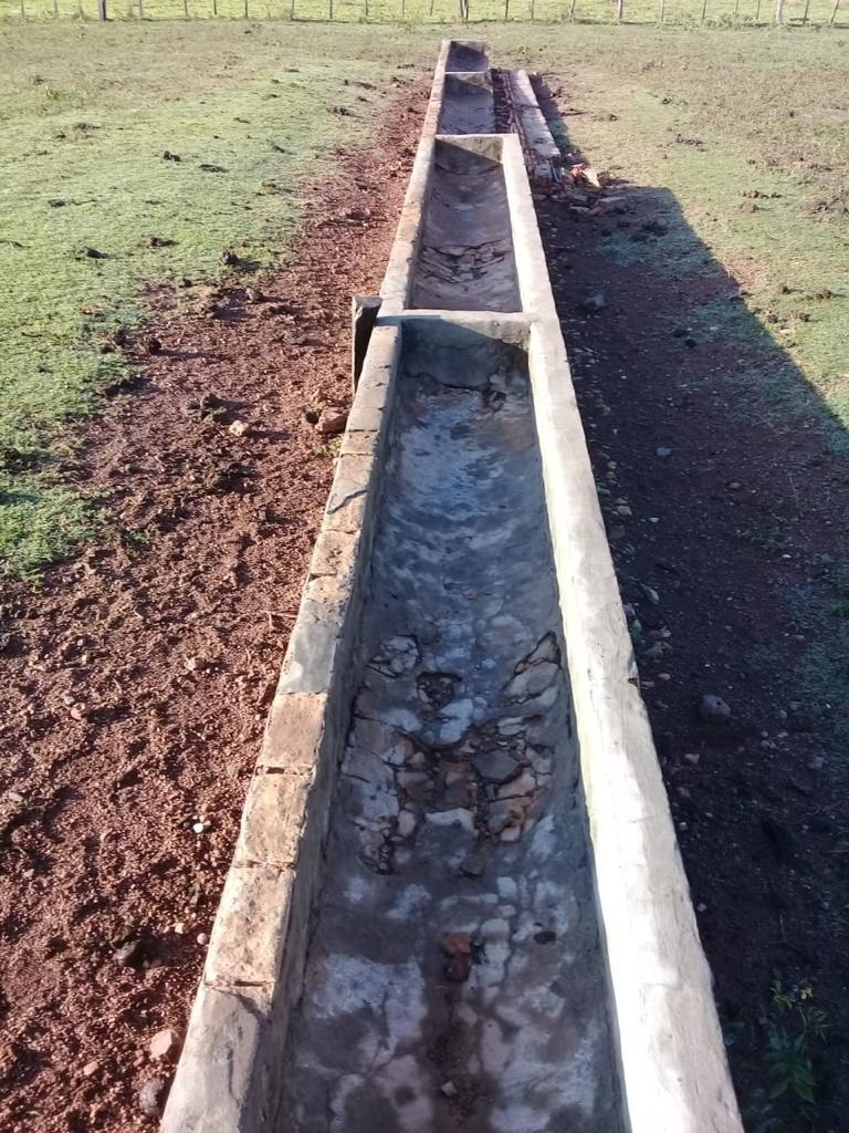 11300 ha Estancia Azote´y – Concepción