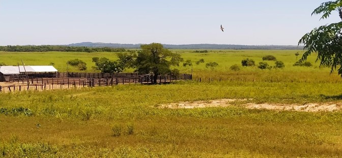 10019 ha Establecimiento agropecuario en Caaguazú