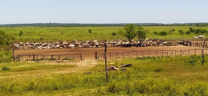10019 ha Establecimiento agropecuario en Caaguazú
