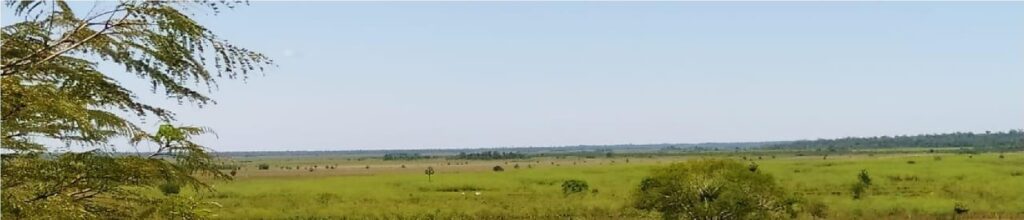 10019 ha Establecimiento agropecuario en Caaguazú