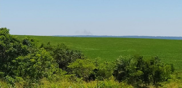 10019 ha Establecimiento agropecuario en Caaguazú