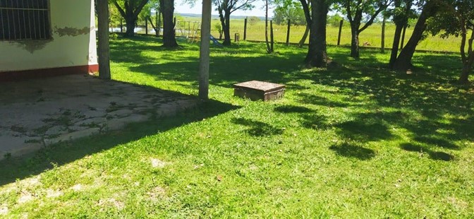 10019 ha Establecimiento agropecuario en Caaguazú