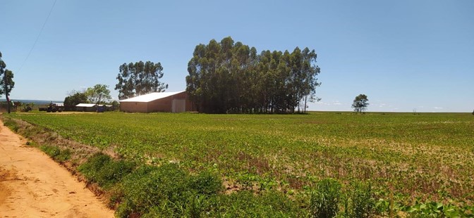 10019 ha Establecimiento agropecuario en Caaguazú