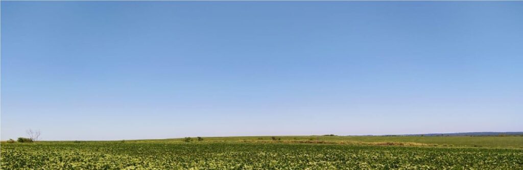 10019 ha Establecimiento agropecuario en Caaguazú