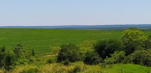 10019 ha Establecimiento agropecuario en Caaguazú
