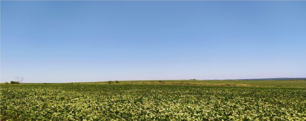 10019 ha Establecimiento agropecuario en Caaguazú