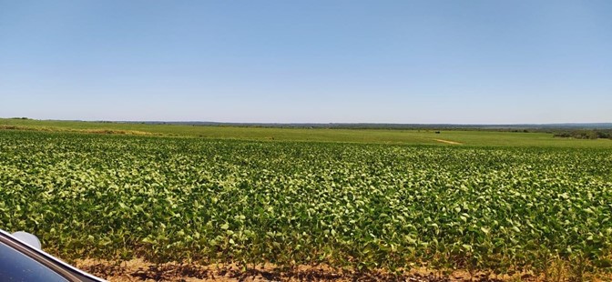 10019 ha Establecimiento agropecuario en Caaguazú