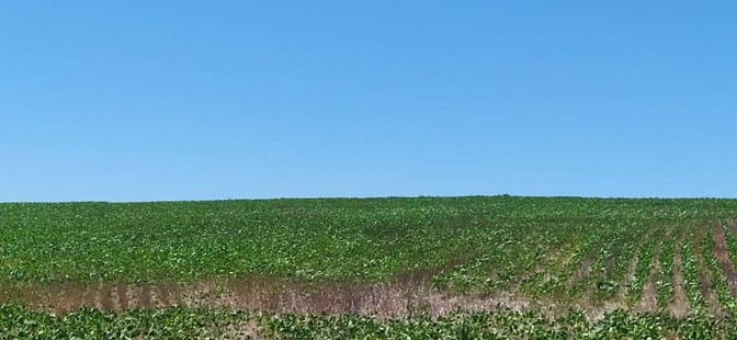 10019 ha Establecimiento agropecuario en Caaguazú