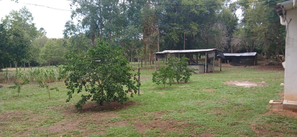 Inmueble rural 1.100.136 ha Estanzuela