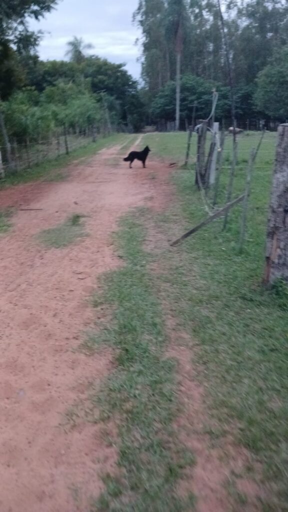 Inmueble rural 1.100.136 ha Estanzuela