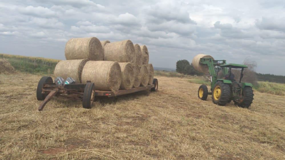 11300 ha Estancia Azote´y – Concepción