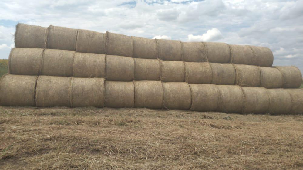 11300 ha Estancia Azote´y – Concepción