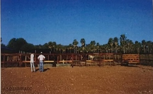 11400 ha en Pozo Colorado