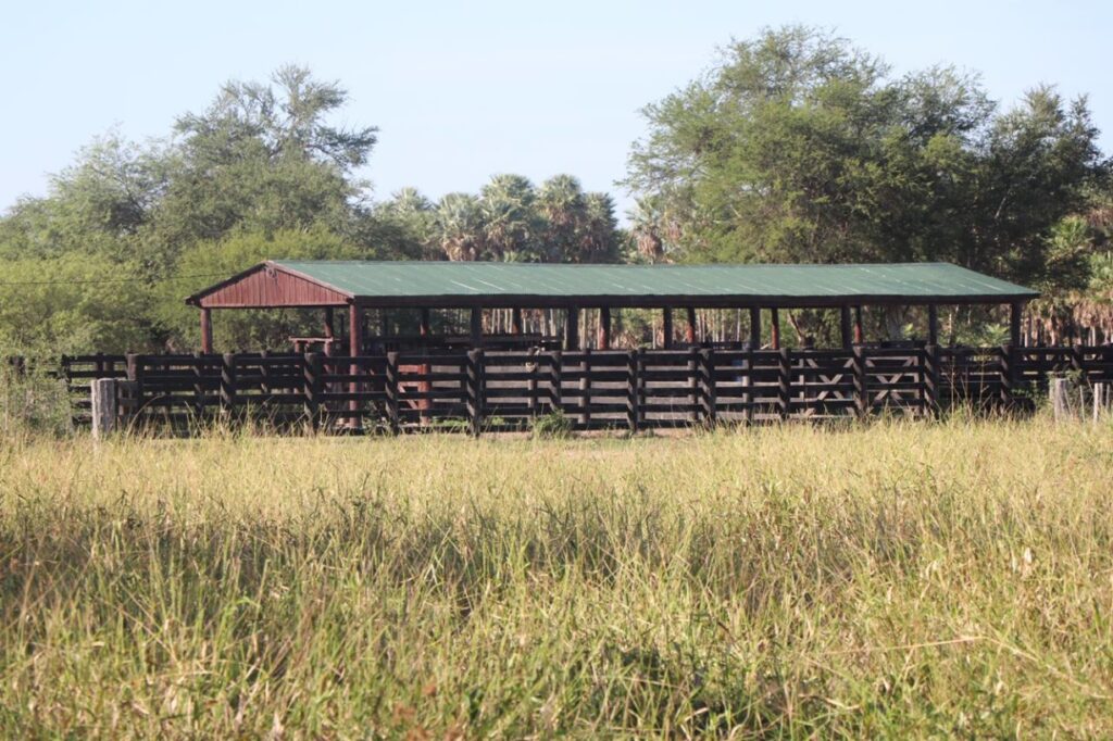11574 ha Estancia en Montelindo