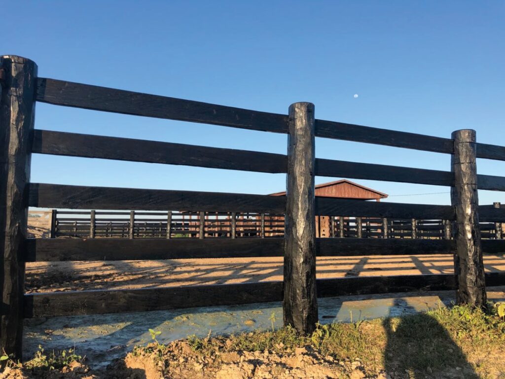 11574 ha Estancia en Montelindo