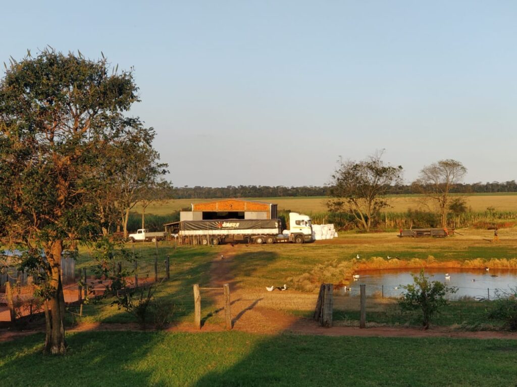 1200 ha Santaní