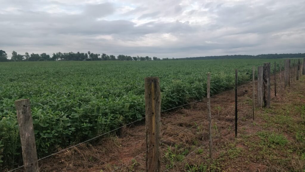 1200 ha Santaní