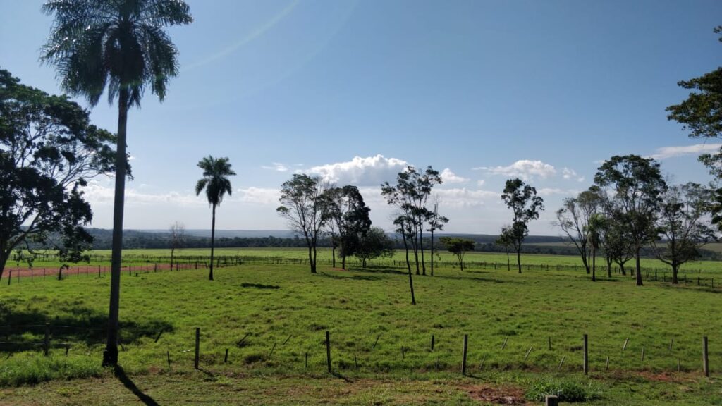 1200 ha Santaní