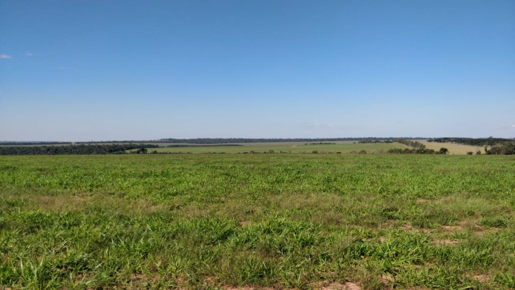 1200 ha Santaní