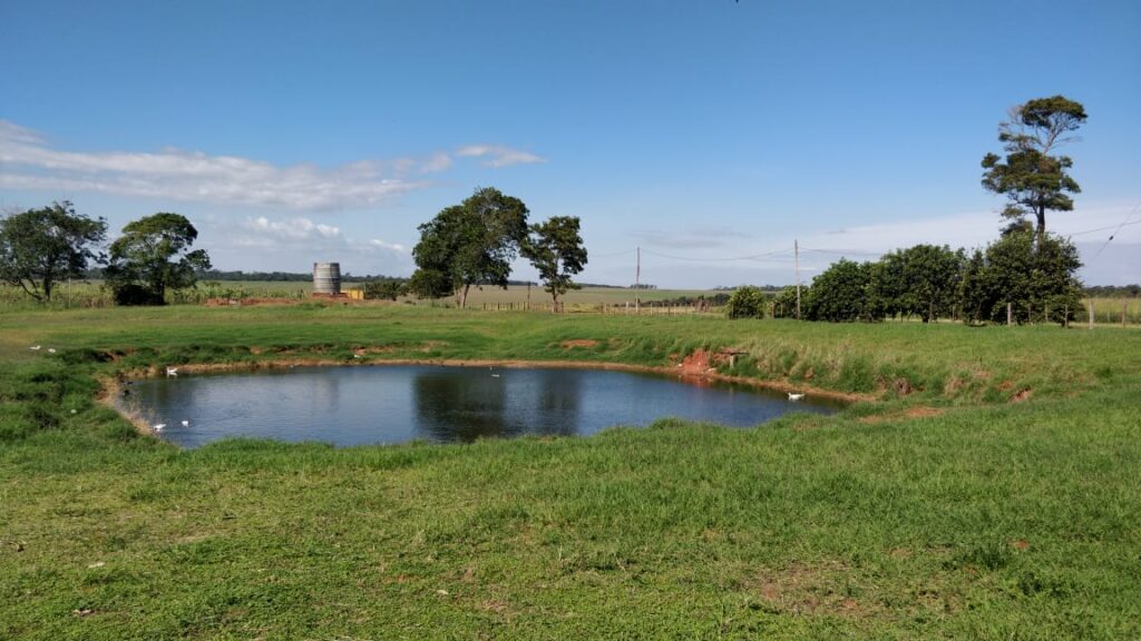 1200 ha Santaní
