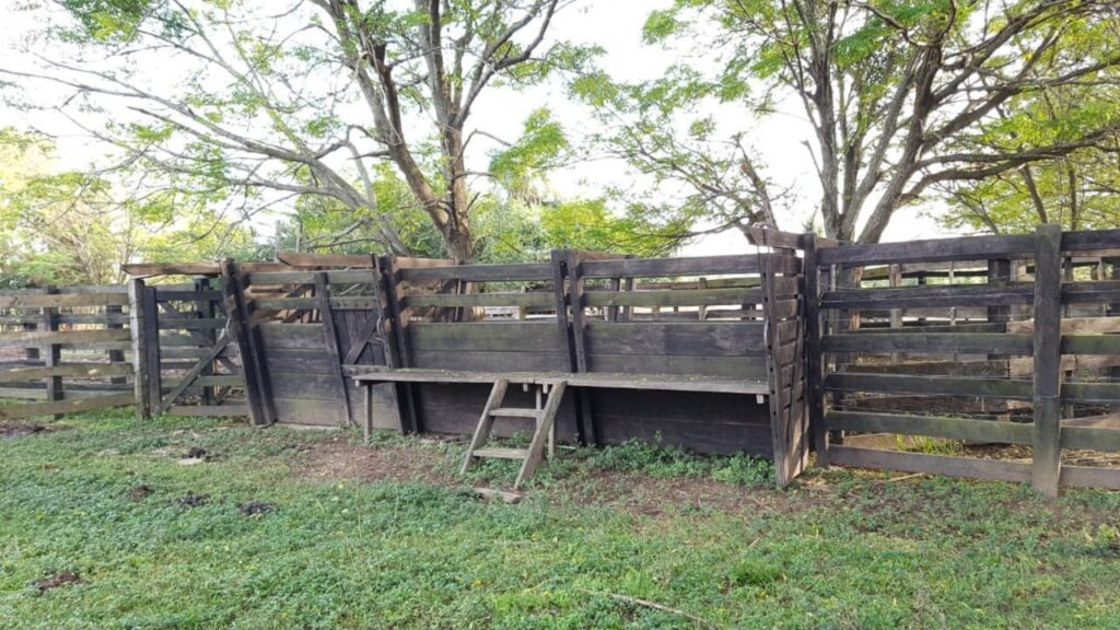 128 ha Granja en Roque González