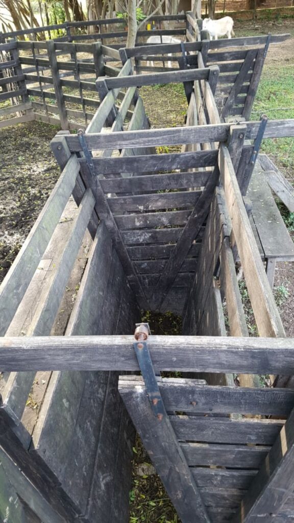 128 ha Granja en Roque González
