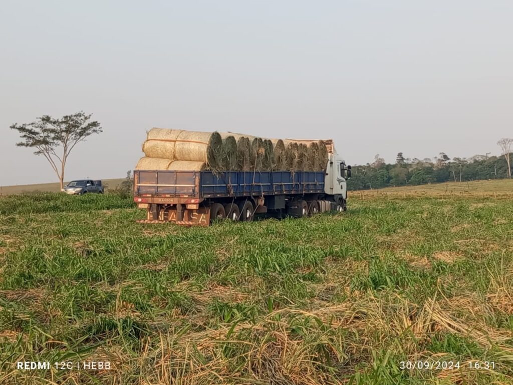 1344 ha Campo agrícola mecanizado en Santaní
