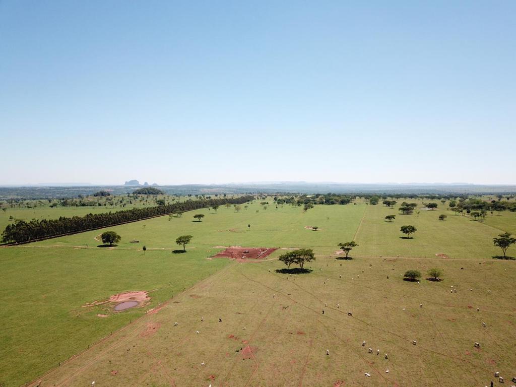 1380 ha Yvy Ja´ú