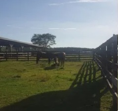 1403 ha en Santa Rita