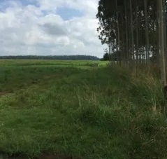 1403 ha en Santa Rita