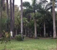 1403 ha en Santa Rita