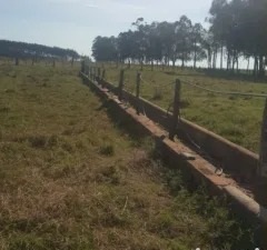 1403 ha en Santa Rita
